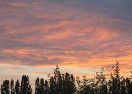 2018-07-26/0cf4ab5d9f0076c83cca50117a365722_6ef2d8427fea999f4797a1cf6a26ed13