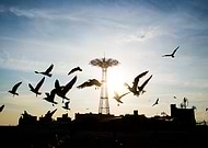 2018-07-26/cb0b29854f01e1a922b79a40934a1862_2fc0cb02a098d7a9c7527db4ed37a7c0