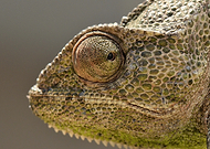 2018-07-29/dabfa0302ab2b54a05fea17f761bb1c1_01ceb8c86d79fd0ef8c17f831388175d