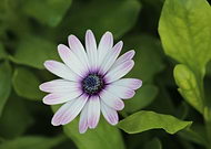 2018-07-30/a95e357e643f68cce34ccfad844931f8_780566340a2bda80679ce7d9fc2870b9