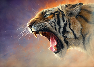 2018-07-31/6763d476ccee3cf05a6171c05fc196af_324f021966db0bbb2a60737cef212bfc