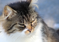 2018-08-01/9cbd4b1070d51cbc2d95e82e46fcc6af_889ecf87459c694f728d64b344af5f11