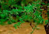 2018-08-01/e79e115f77a46b75428db5fc7a003193_28045c08cde324cafe6fbeafa87f5a5e