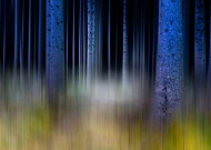 2018-08-02/192b60d0feb1dbd4daf8e2293ee9fd6d_a9eb692bc3802de95c59543cc52f9d99