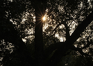 2018-08-02/4ebfd517e4b8fade8fbcab81e760d950_4efe9bfaedf9ade199b18b8d6269b34c