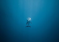 2018-08-06/87823ef206b2f6c6a6a40bdcd2c17b8c_f9d596bd8e14655cf3f250c145fb16f3