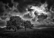 2018-08-06/8bcd84483de37fdeb054e560d69d221b_dc16f393e308312bc4f31065dbc33a0c