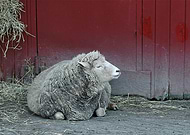 2018-08-07/3d4308c44b2510cc64120b5a08d7fccb_1aab266bf482ef412c81909a342e5724