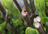 2018-08-08/4328727c20a6c851c3d1aa209943b5d7_419cbe4d0cc9b025ad25f2fe8a6398bb