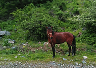 2018-08-08/746c040383cbe1006ea7e214a618fde0_ba3ff0f93de594292e8f84d49e6a6c65