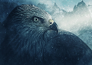 2018-08-11/45f36367ee4537a52d5943b0da3266db_32885c3c9ee9781642b0e9843a8d6a09