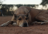 2018-08-11/d3869472227d56843699f8223b7453f2_c9fb5ca7a5526eb12e8efb054f9265f1