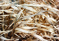 2018-08-13/86676a6ff7730d288bc43f4c3688cb10_dfcc5aa6a9e7fa42ccdb0a19c7774d1b