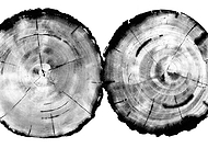 2018-08-15/f9ae0ad00a53f289cf4389e6d197ecd5_a42ee261edb4ee977375e3ee58b89fed