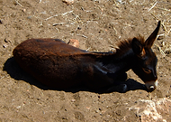 2018-08-17/292b5df76ff6de1765de24c21bda2dc0_642f4520232ce1381e3fc33302c9d9d7