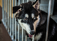 2018-08-19/981b5ce86eba505d256d3bad9f6f4d90_cfaec167f221089d4fb136b35785db88