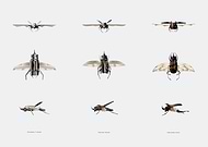 2018-08-20/1b27c570826c107922334e0d886ec961_2d8ca346531e1f00fe609b988d2efd28