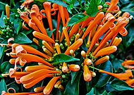 2018-08-20/9f1576a4c840a8a999376d23dd22d616_57420a6a83133ba45eb4d36b9b2f3341