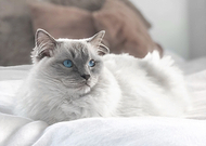 2018-08-21/2e94bc42172f73176cfbfc6a436af832_f48853815c40fc56f1735d56e6cf1488