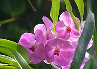 2018-08-22/1f8bb6237426e903a5d82052619b117d_c29105dabd0b97fa6c0d124b9bd38f49