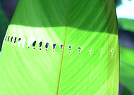 2018-08-22/5fdd426a64060bf01fac6e0187595f91_cc99abc1b444fa36e56eea6a976f6b5f