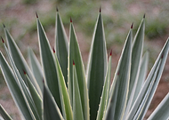 2018-08-22/aef91a22d796697871d585a16ece849a_74614c9c8521ee8f057da75c9eea5e9d