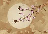 2018-08-24/03daf4896cd0f63097958f5cb6f42729_7301385488f42baf8eab8b74be114218