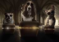 2018-08-28/3b9e73606f397db382e0353036b73aa8_426efbdee834be307524af42efa065a8