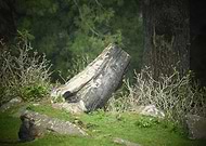 2018-08-28/3f8007203ec7de361a4f676be766594d_9ef22bcddfe437d254012bf7ec11272c