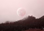 2018-08-28/5ed315e0e0ad63bff6a1e7fac9c70a8b_1430cabe89e3ff0ec721c5c56d3648fd