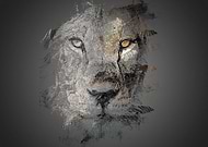 2018-08-28/ab7869c32def703b0c482c27b22ee27d_ae59833c36a52e3dcf98153ab888eb6f