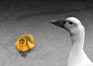 2018-08-28/d08dd7e438381550d359192ae603db2d_c30439cdcd059ec7b94093dbf139b288