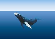 2018-08-28/eaf8803f2be4f84fd9c3ecb3c5e862ac_377c818f19a3d51c91f4a4d4329e3d55