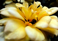 2018-08-29/77b27078069828822192633b1ee72701_c3b17dfb1a9e1c22938b0cfca262ac89