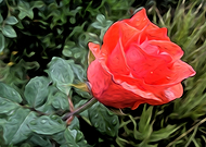 2018-08-29/8c668f62f6d267e9b33a2ff4fcca52cb_9d99de004c6575a21263e0605d3ffc1b