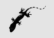 2018-08-29/8f9c5b755806d5895f4526563f23f30e_bfe7a2226e835a269daa1c61d1db7f98