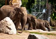 2018-08-29/d81f54123713fa43404cca3b867116bd_8b0f695a34fee1dd5390d0d8726e8ad0