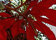 2018-08-29/e02c57e4d1f541a84b26437475fa23b1_0d8ea73bf8b814c54a66ec2459da4dc4