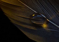 2018-08-30/13d798b09c5e62c88f9f6f5291e42407_b7816603c75ffcb704073bb4e8261efe