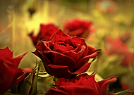 2018-08-30/ef43e9ec47278fd57302ba634ee63ef3_514422728357622d157683f6f92f395c