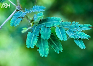 2018-08-31/3ee1115da82bcf4ea9515cbcc3d7f1d2_0c607459adbc6ffa803591ce30c58144