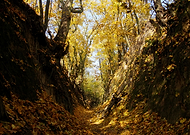 2018-08-31/5922b087091d22de6967873d63be1c28_a5e8c39c5382e295d6fa9e1896d1bd0b