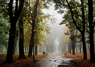 2018-08-31/7a3364c9c1d5a4edcfb057be0f063a5a_98df12812f4a71b8bf1dbff4bfb583e9