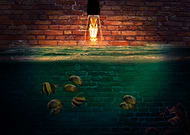 2018-09-01/0a1419d62fc4e1690ddaf792a579cba8_cbca0e8e22c568979b28ea3a768529bb