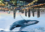 2018-09-01/13c117a048869c7bb5f2247c86e9e549_80bb9b574a95f7e96a77728b02a277d1