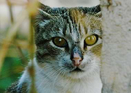 2018-09-01/67783f549b1cf128055e669e6a50f5da_ac8dccafe5b0fbb97c8344a6cc77b604