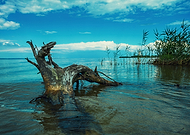 2018-09-01/ad925a0d3c997ab47193696a7827306e_62a58837267dfd585bf810473fb7a403