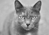 2018-09-02/aac3bbc1fd9eba6de7811b278859af3f_bdb10c4ac61f306d07729afb313b9642