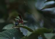 2018-09-02/ae955eb3ed2f4ca060e4d15ef019d12d_b1307195ed8b1d2cb28d1a4da506c051