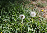 2018-09-03/5d076e0cb6ed44ed4c2570963fd94781_0c01474fee5ba4a6962d4b9c5b99c592